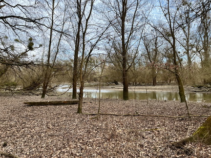 23-02-18 15-01-17 4263